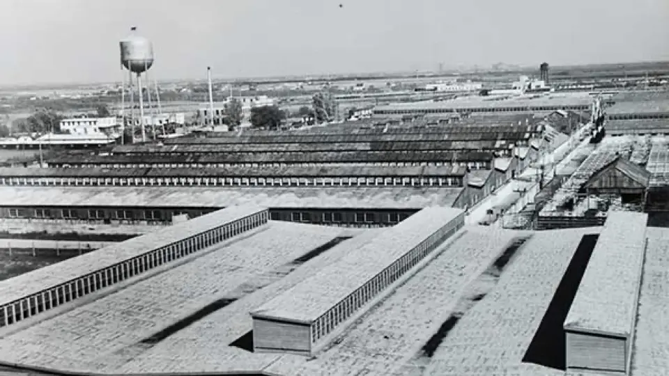 Aerial view of the Sure-Good Meats packing facility, Winnipeg, Manitoba, 1945